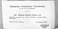 Image Associated With the Occurence